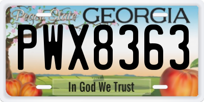 GA license plate PWX8363