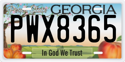 GA license plate PWX8365