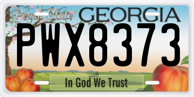 GA license plate PWX8373