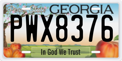 GA license plate PWX8376