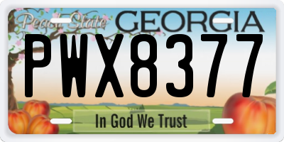 GA license plate PWX8377