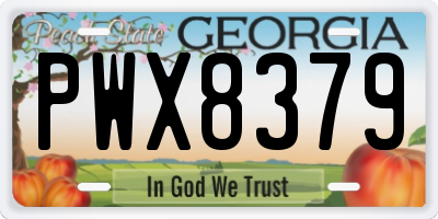 GA license plate PWX8379