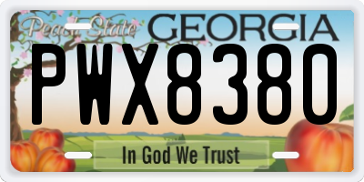 GA license plate PWX8380