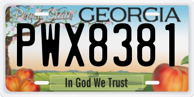 GA license plate PWX8381