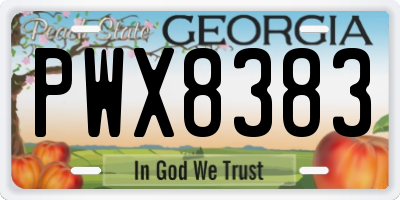 GA license plate PWX8383