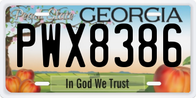 GA license plate PWX8386