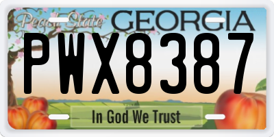 GA license plate PWX8387