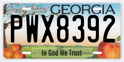 GA license plate PWX8392