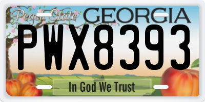 GA license plate PWX8393