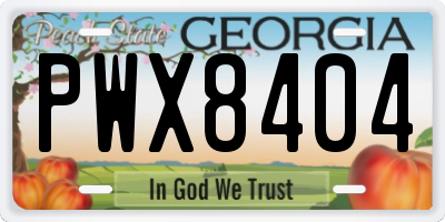GA license plate PWX8404