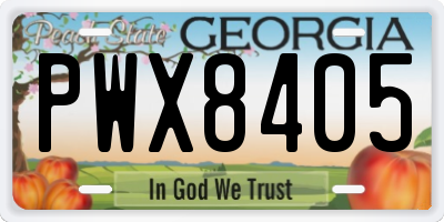 GA license plate PWX8405