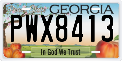 GA license plate PWX8413