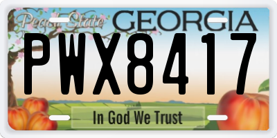 GA license plate PWX8417