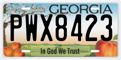 GA license plate PWX8423