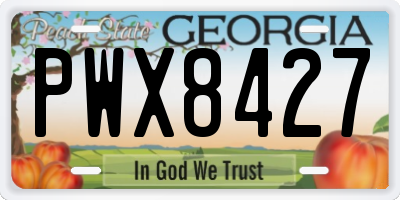 GA license plate PWX8427