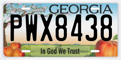 GA license plate PWX8438
