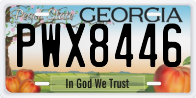GA license plate PWX8446
