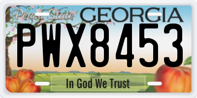 GA license plate PWX8453