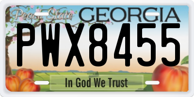 GA license plate PWX8455