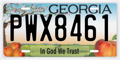 GA license plate PWX8461