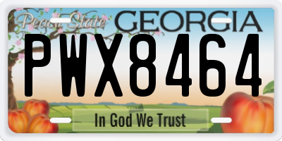 GA license plate PWX8464