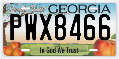 GA license plate PWX8466
