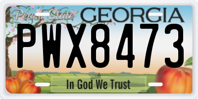 GA license plate PWX8473