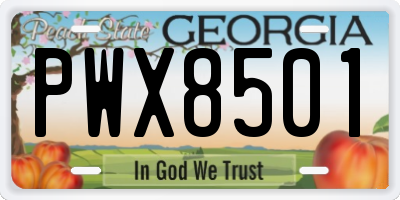 GA license plate PWX8501