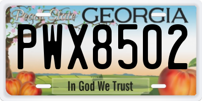 GA license plate PWX8502