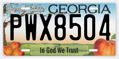 GA license plate PWX8504