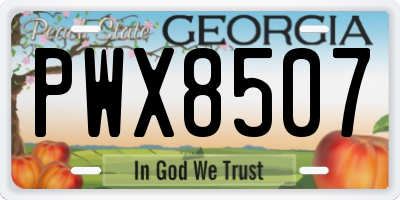 GA license plate PWX8507