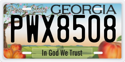 GA license plate PWX8508