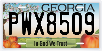 GA license plate PWX8509