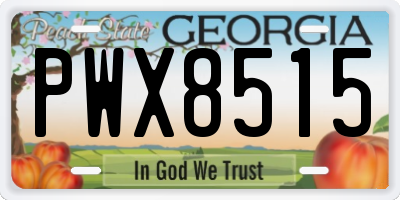 GA license plate PWX8515