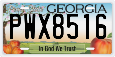 GA license plate PWX8516