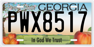 GA license plate PWX8517