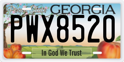 GA license plate PWX8520