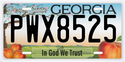 GA license plate PWX8525
