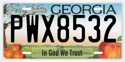 GA license plate PWX8532