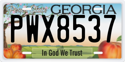 GA license plate PWX8537
