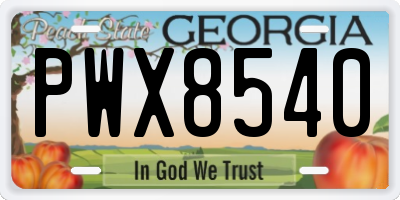 GA license plate PWX8540