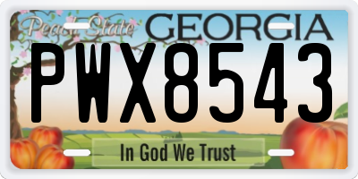 GA license plate PWX8543