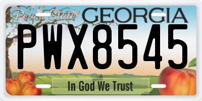 GA license plate PWX8545