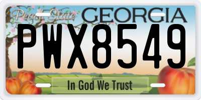 GA license plate PWX8549