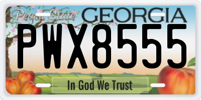 GA license plate PWX8555