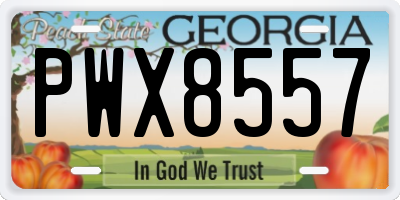 GA license plate PWX8557