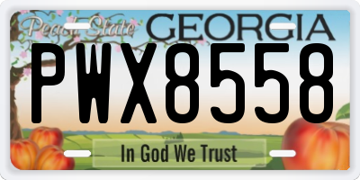 GA license plate PWX8558