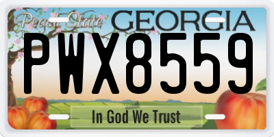GA license plate PWX8559