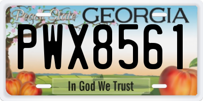GA license plate PWX8561