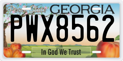 GA license plate PWX8562